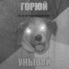 ������ ������������ miliimizantrop