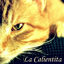Calien