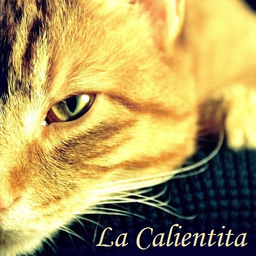 Calien