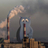 borjus