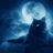 blackcat666