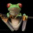 OrangFrog