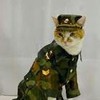 ������ ������������ serviceman2507