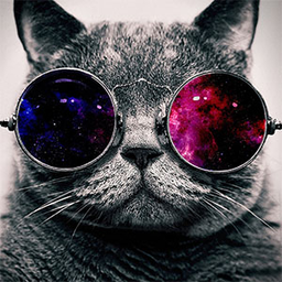 catintheglasses