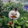 ������ ������������ weedystar