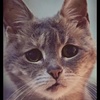 Pikabu profile picture for @Destination