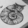 shocotort