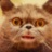 Weasle