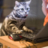 alexsoft76