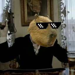 Mr.Capybara