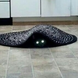 ViciousCircles