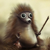 HedgehogStalker