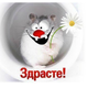 Аватар пользователя alex2mironoff