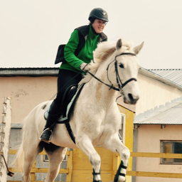 Lozana2014