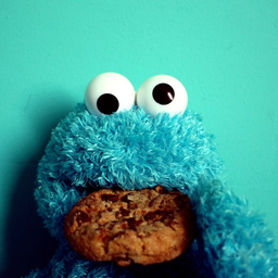 c0ok1Mmonster