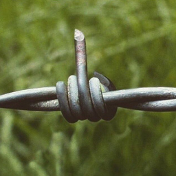 devo4ka.olivka