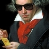 Pikabu profile picture for @Beethoven