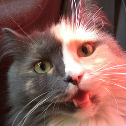 NiceT0MeetY0u