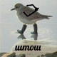 Аватар пользователя Shtoshik