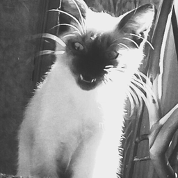 ScaryBy
