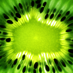 kiwi8000