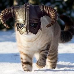 Khajiitt
