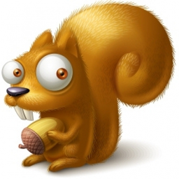 squirrel2017