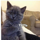 ������ ������������ svoychelovechek