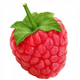 ������ ������������ Sweet123berry