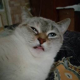 AlekseyGrizzly