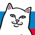 kakoytopedik