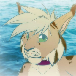 RufusLynxOne