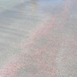 PinkSand