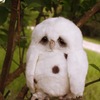 Gweename