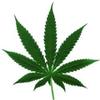 Pikabu profile picture for @marijuana