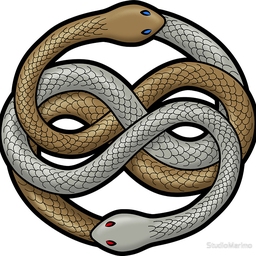 Знак змейки. Символ змеи. Две переплетенные змеи символ. Символ вечности змея. Аурин Уроборос бесконечная история.
