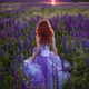 ������ ������������ robinellacott
