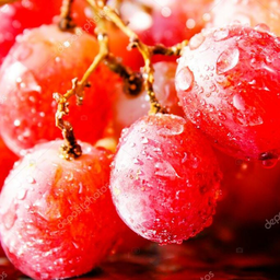 WetGrapes