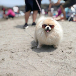 SPBBolt