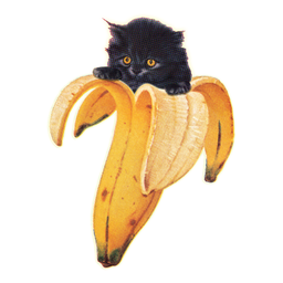 Можно ли кошкам банан. Банановый кот. Кот в ба6ане. Коты бананы. Кот и банан арт.