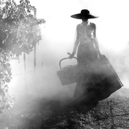 MorningMist