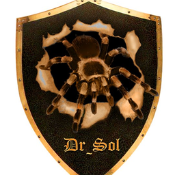 DarkSideSol