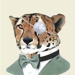 KsardasCheetah