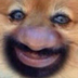 wowwotlk