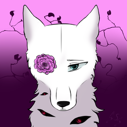 Skaira