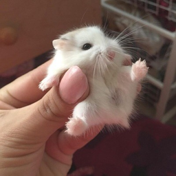 fromcosmicworld