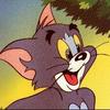 ������ ������������ TheTom