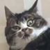 creepyistorator