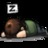 zzzz