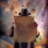 Gaudium